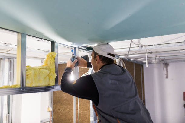 Best Commercial Insulation in Brooksi, DE