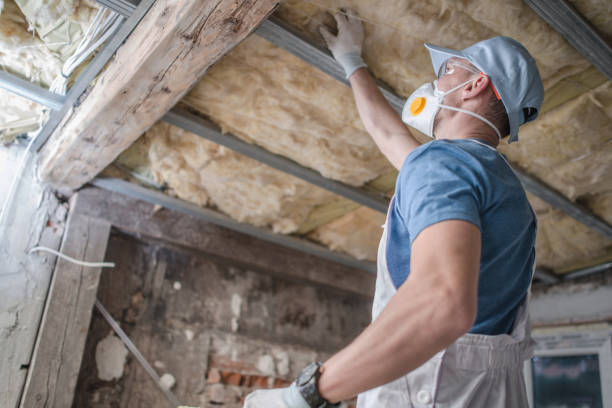 Best Residential Insulation in Brooksi, DE