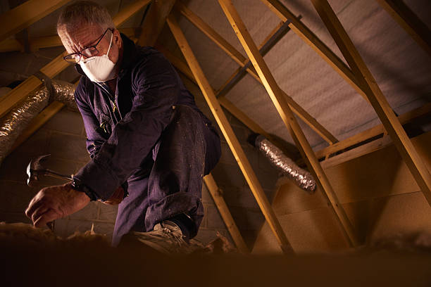 Best Specialty Insulation in Brooksi, DE