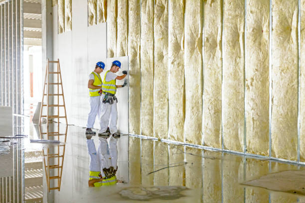Best Insulation Installation Services in Brooksi, DE